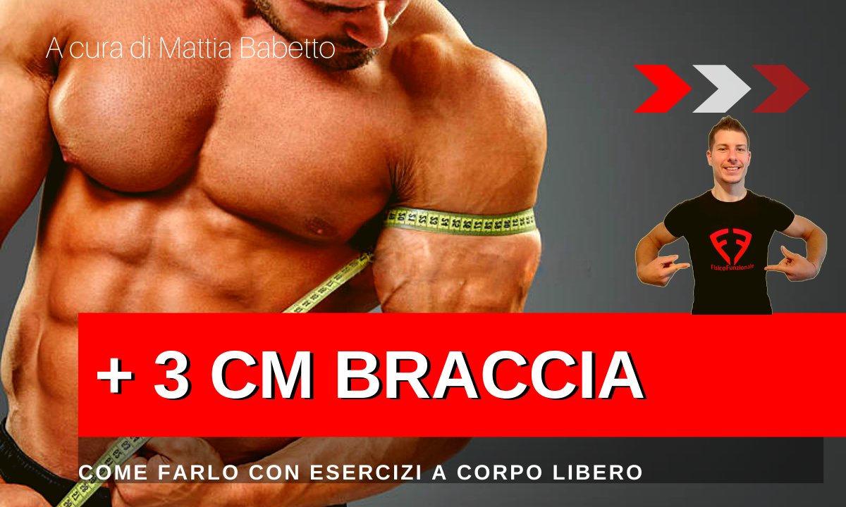 scheda massa braccia calisthenics