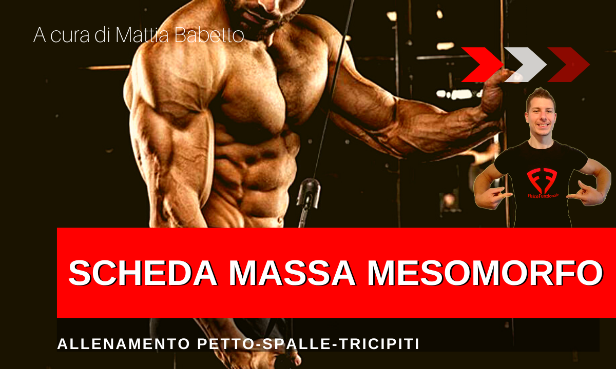 scheda massa petto mesomorfo