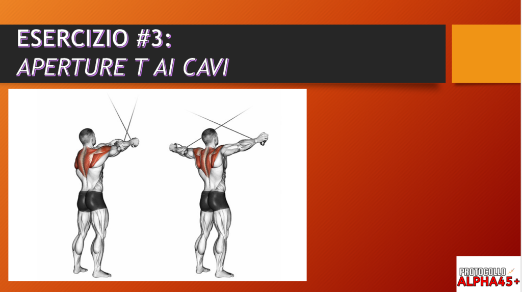 rinforzo fissatori scapola