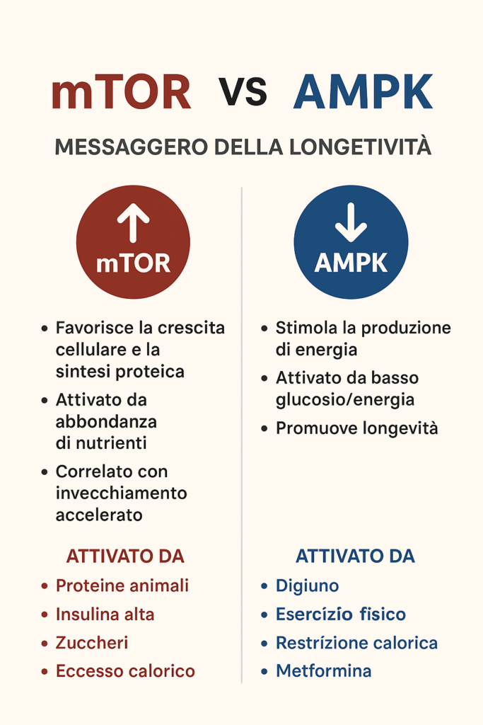 massa a 50 anni