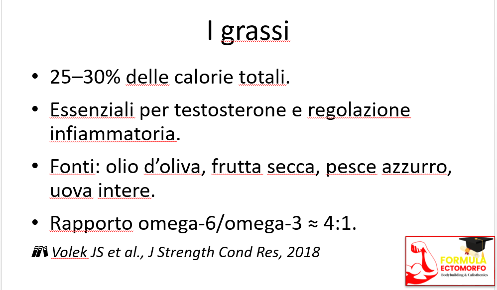 grassi per massa muscolare