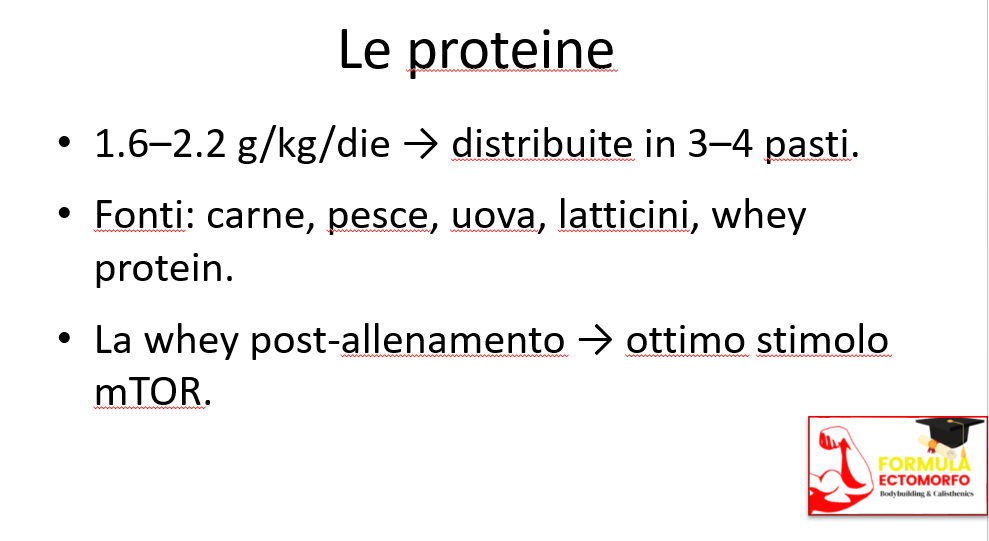 dieta massa uomo